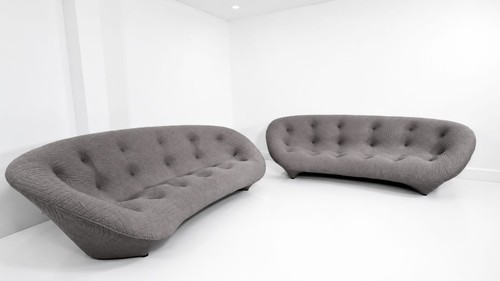 Stunning pair ligne - ligne, roset